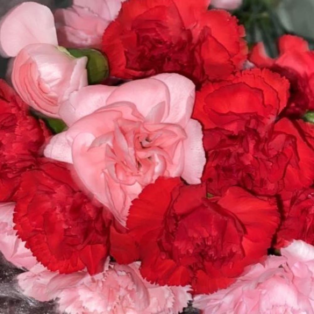 Meet your Posher, Vane